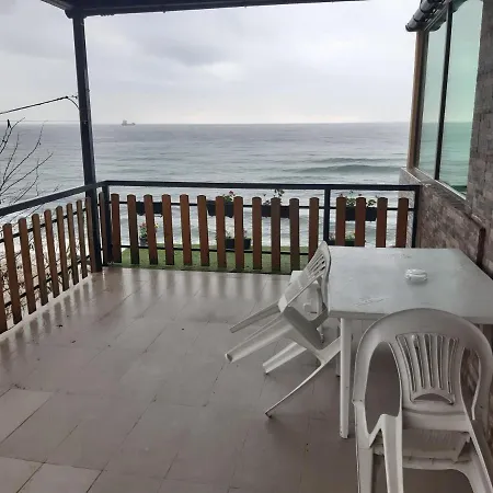 Проживание в семье Happy *